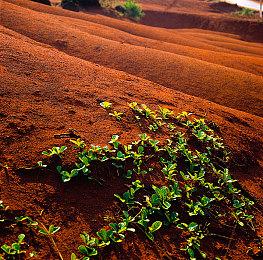 腾讯新总部将建永久科技馆 打造一棵人类百年“科技树”